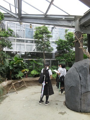 doubutsuoukoku3.jpg